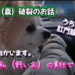 Thumbnail of related posts 125