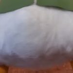 Thumbnail of related posts 023