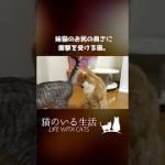 Thumbnail of related posts 097