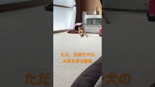 Thumbnail of post image 103