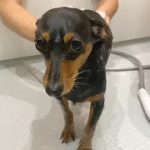 Thumbnail of related posts 112