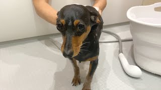 Thumbnail of post image 054