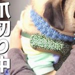 Thumbnail of related posts 029