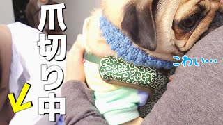 Thumbnail of post image 103