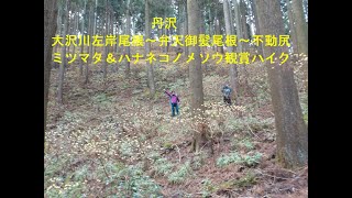 Thumbnail of post image 137