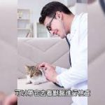 Thumbnail of related posts 072