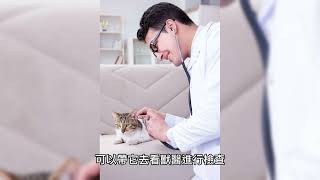 Thumbnail of post image 087