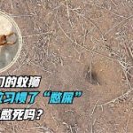 Thumbnail of related posts 058