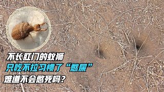 Thumbnail of post image 154