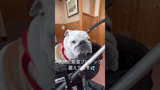 Thumbnail of post image 113