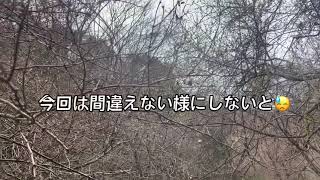 Thumbnail of post image 107