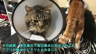 Thumbnail of post image 064