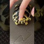 Thumbnail of related posts 000