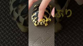 Thumbnail of post image 005