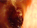Thumbnail of post image 074