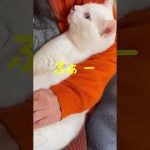Thumbnail of related posts 147