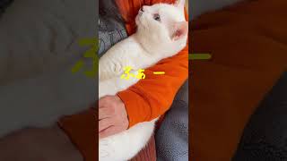 Thumbnail of post image 195