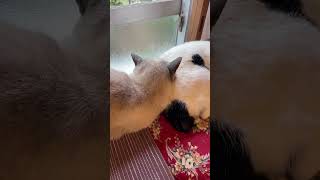 Thumbnail of post image 154