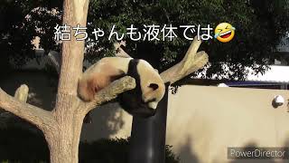 Thumbnail of post image 044