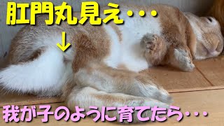 Thumbnail of post image 024