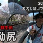 Thumbnail of related posts 154