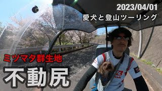 Thumbnail of post image 100