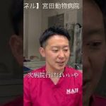 Thumbnail of related posts 152