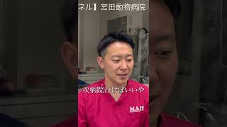 Thumbnail of post image 125