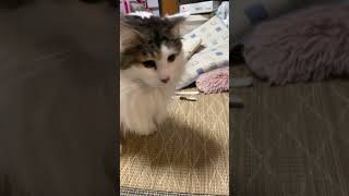 Thumbnail of post image 112