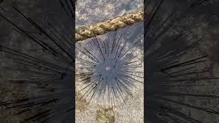 Thumbnail of post image 092