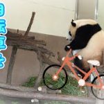 Thumbnail of related posts 162
