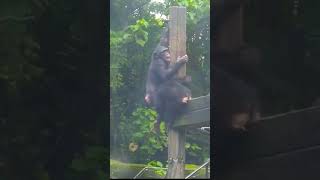 Thumbnail of post image 072