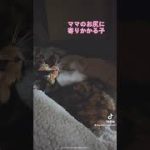 Thumbnail of related posts 191