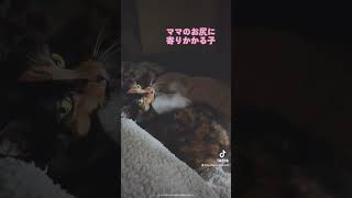 Thumbnail of post image 064