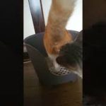 Thumbnail of related posts 047