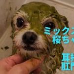 Thumbnail of related posts 095