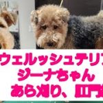Thumbnail of related posts 173