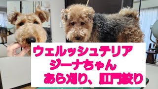 Thumbnail of post image 037