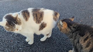 Thumbnail of post image 169