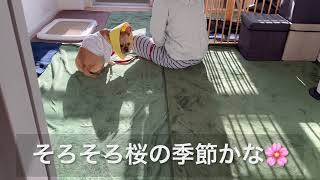 Thumbnail of post image 139