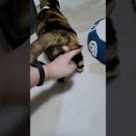 Thumbnail of related posts 186