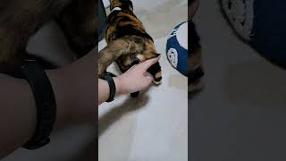 Thumbnail of post image 037