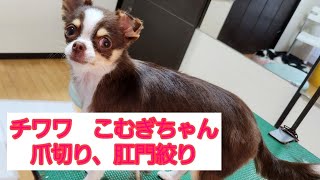 Thumbnail of post image 086