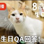 Thumbnail of related posts 093