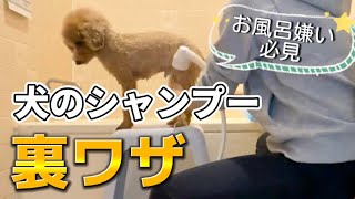 Thumbnail of post image 009