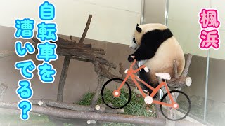 Thumbnail of post image 105