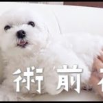 Thumbnail of related posts 084