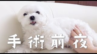 Thumbnail of post image 047