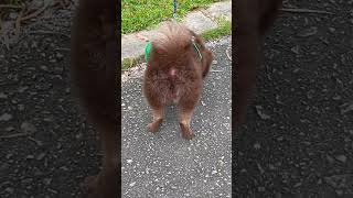 Thumbnail of post image 112