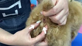 Thumbnail of post image 070